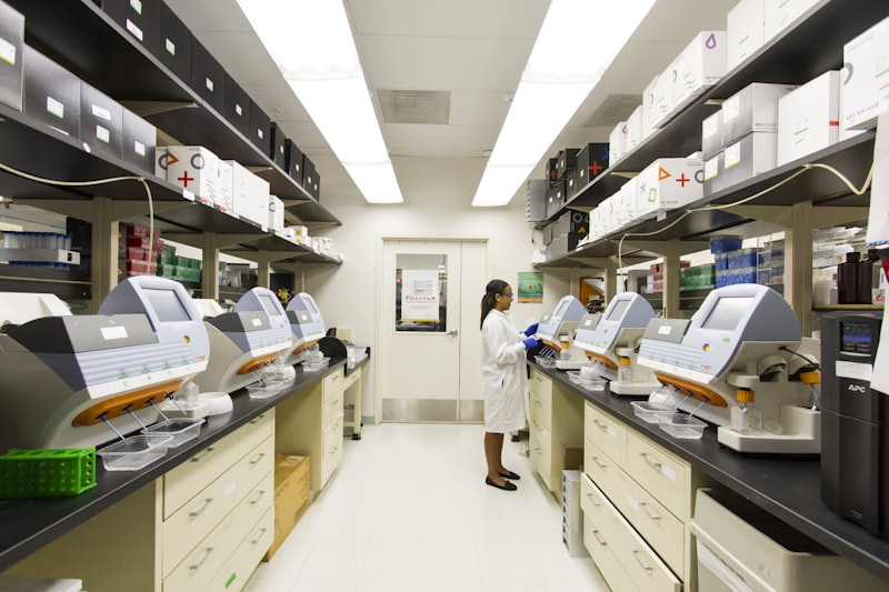 lab